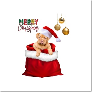 Merry Christmas, cute christmas dogs Posters and Art